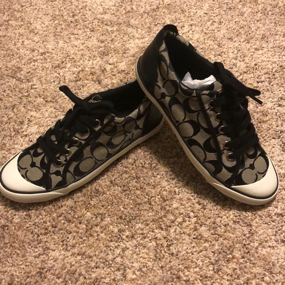 coach converse style shoes